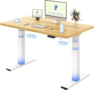 FLEXISPOT Escritorio Elevable 120x60, 2 Motores, 200kg, 3 Segmentos, USB