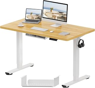 FLEXISPOT - Escritorio eléctrico ajustable en altura con panel de memoria inteligente, para usar sentado o de pie, serie EF1, de 120 x 60 cm, marco blanco y tablero de color madera de arce